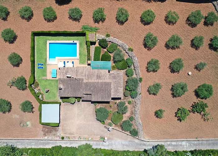 Vidrier Campero Port de Pollença