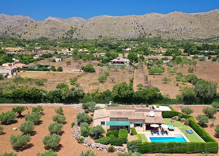 Vidrier Campero * Port de Pollença